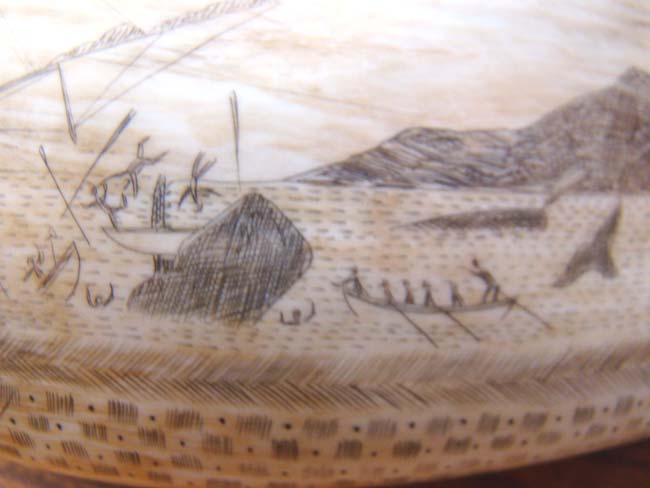 A large scrimshawed Sperm Whale's Tooth depicting a Whaling hunt off the 'Feegee' Islands. — image 9